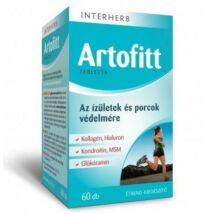 INTERHERB ARTOFITT TABLETTA 60DB