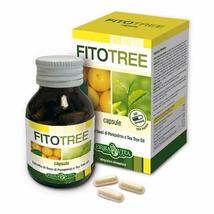 NATUR TANYA ERBAVITA FITOTREE KAPSZULA- PARAZITÁK GOMBÁK ELLEN KAPSZULA 60DB
