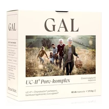GAL UCII PORC-KOMPEX 30G