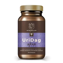 MYROBALAN URIDAG HÓLYAGHURUT ELLENI 60DB GYÓGYNÖVÉNY KOMPLEX