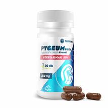 PYGEUM FORTE 250MG 30DB KAPSZULA TENMAG