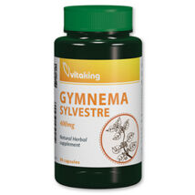 Gymnema Sylvestre- Vitaking- 400mg  90 db kapszula 