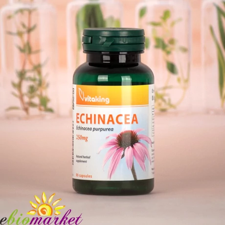  ECHINACEA-BÍBOR KASVIRÁG 250mg (90)kapszula